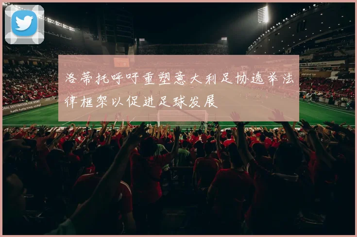 洛蒂托呼吁重塑意大利足协选举法律框架以促进足球发展