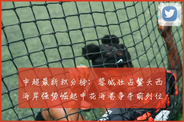 中超最新积分榜：蓉城独占鳌头西海岸强势崛起申花海港争夺前列位置
